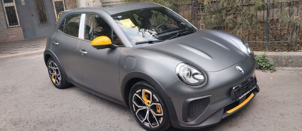 Ora goodcat GT 2024 — 1