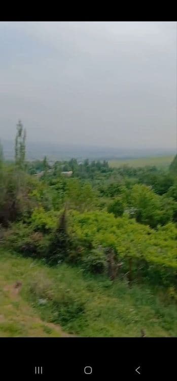Ер сотилада Бостонлик туманида — 4
