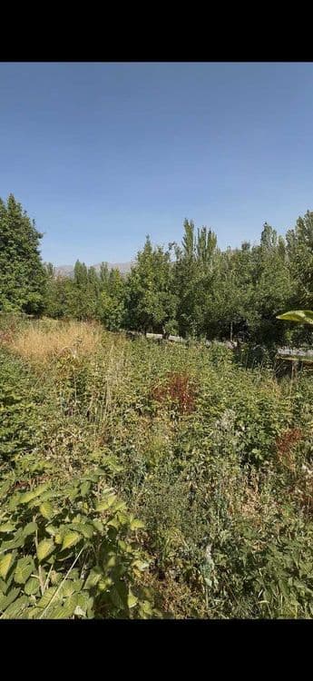 Кумушконда 8 сотик ер сотилади. Панорама куринишга эга жойда. — 1