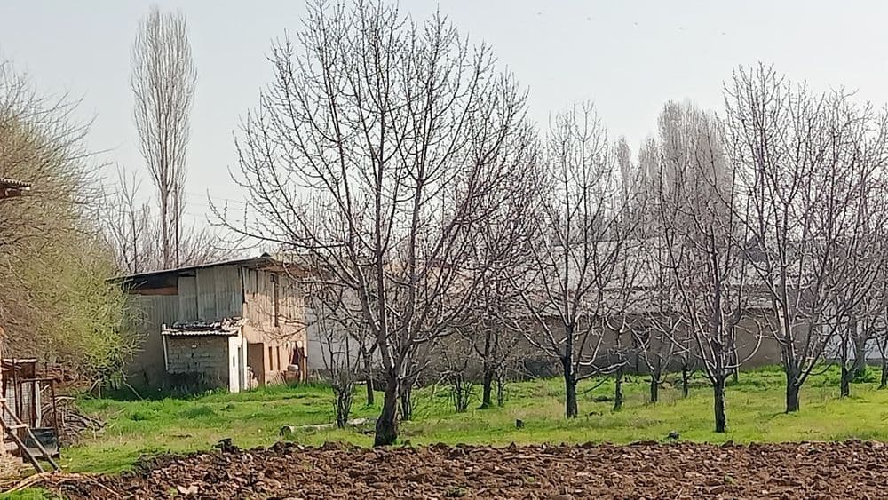 Uchastka sotiladi — 1