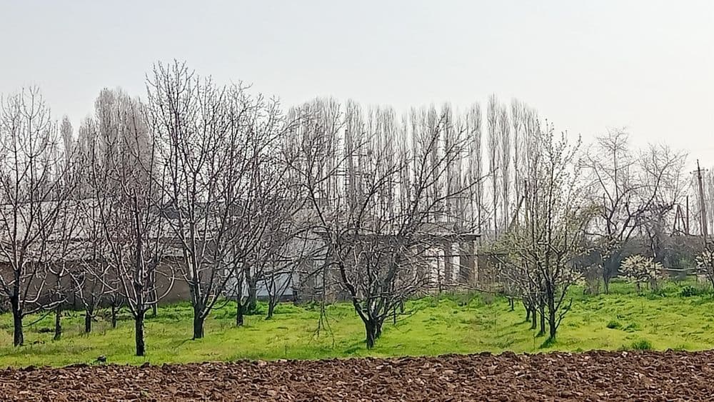 Uchastka sotiladi — 2