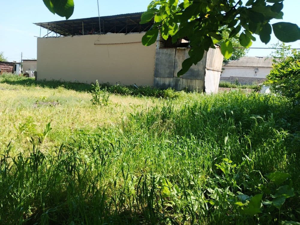 Kadastir ichidagi yer — 4