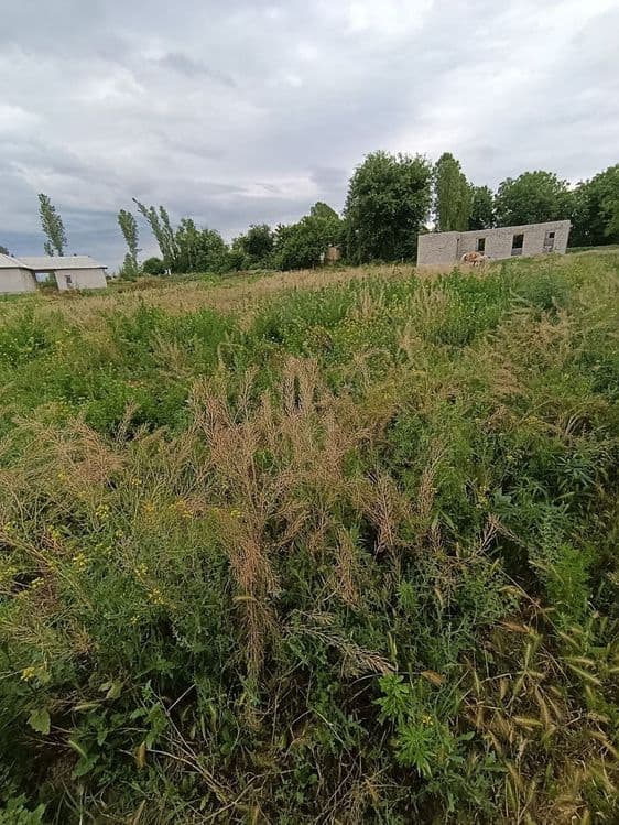 yer sotiladi 3 sotix kadasteri bor — 6