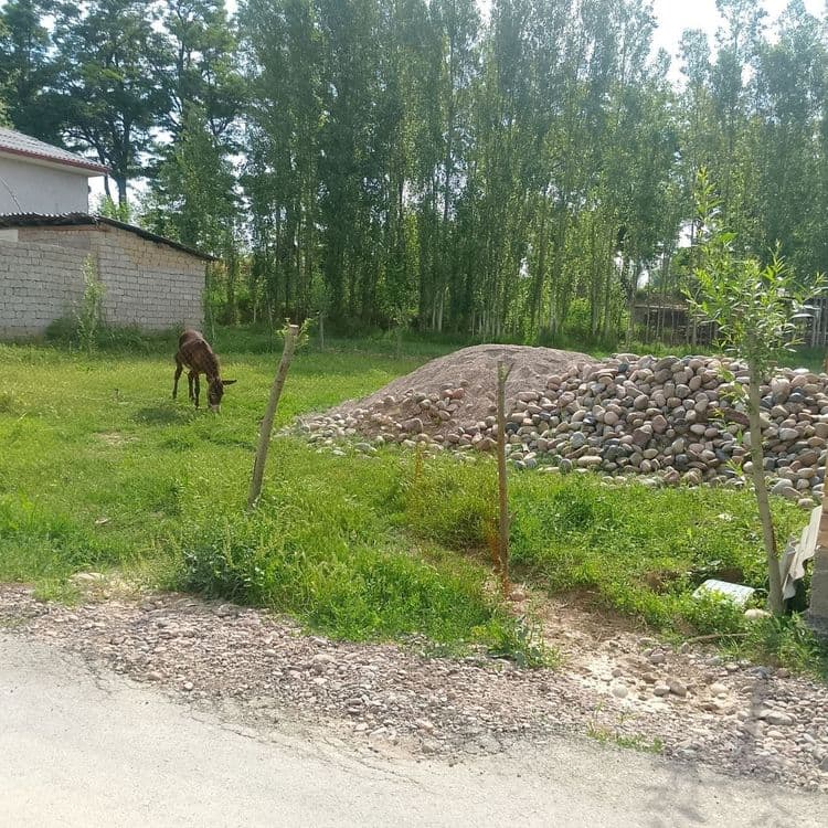 3 сутик кадстрли ер сотилади — 2