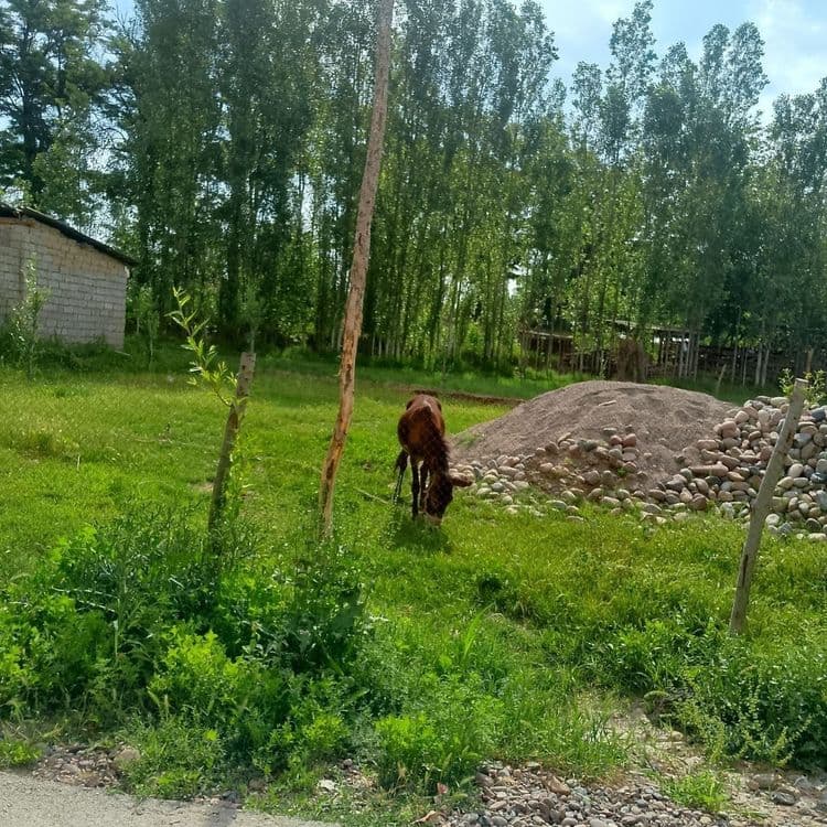3 сутик кадстрли ер сотилади — 3