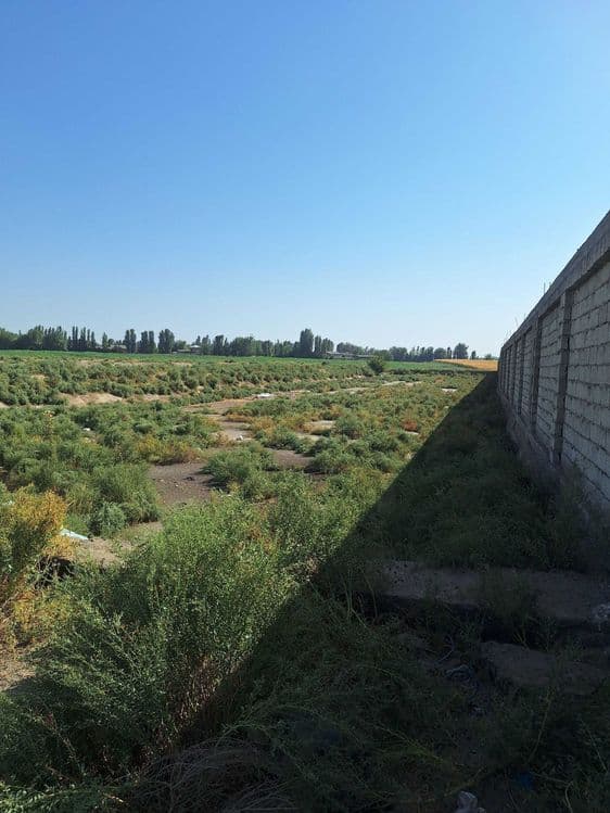 Продаётся земля 6,6 га Бозсув и 1,4 га Зангиата склад, база, логистика — 1