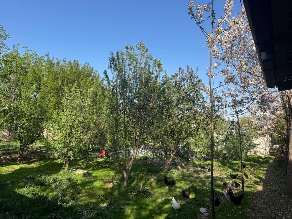 Nazarbek Turkistonda 13 sotik Yer Sotiladi — 2