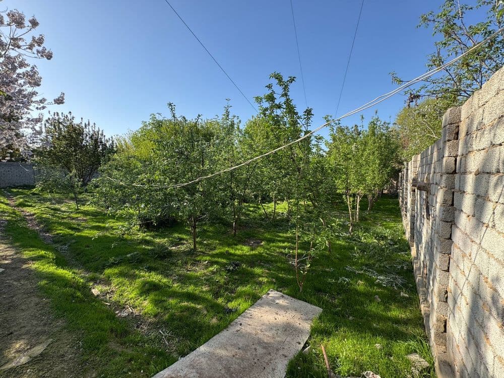 Nazarbek Turkistonda 13 sotik Yer Sotiladi — 3