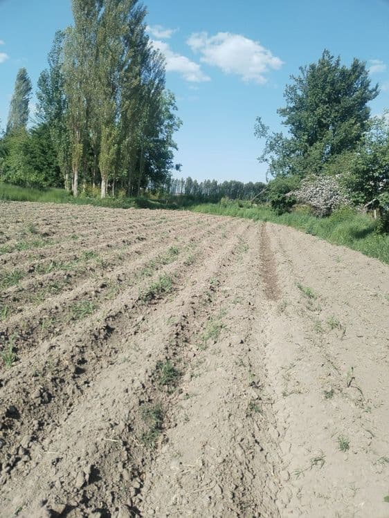 Продаётся земля 9 сотих — 1