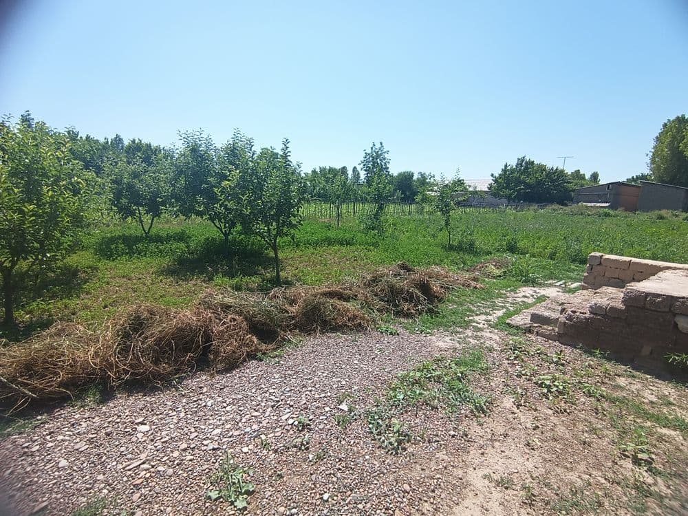 Srochna sotiladi quruq yer — 4