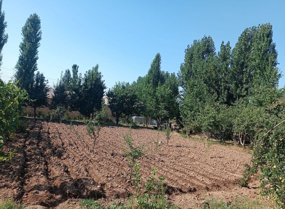 DACHA uchun yer SOTILADI srochna!!! — 1