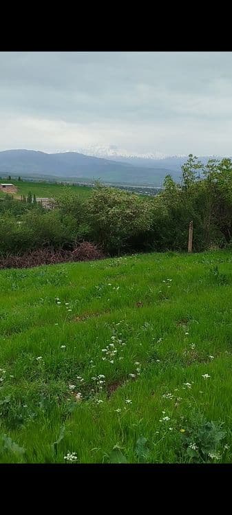 Oq toshda yer sotiladi — 5