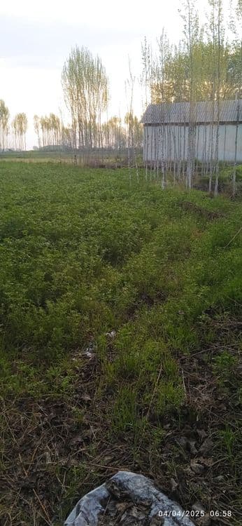 Ер учаска  сотилади 9500 $ — 2