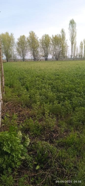 Ер учаска  сотилади 9500 $ — 7