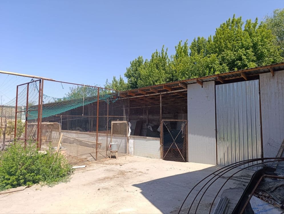 Здравствуйте срочно продаю участок — 1