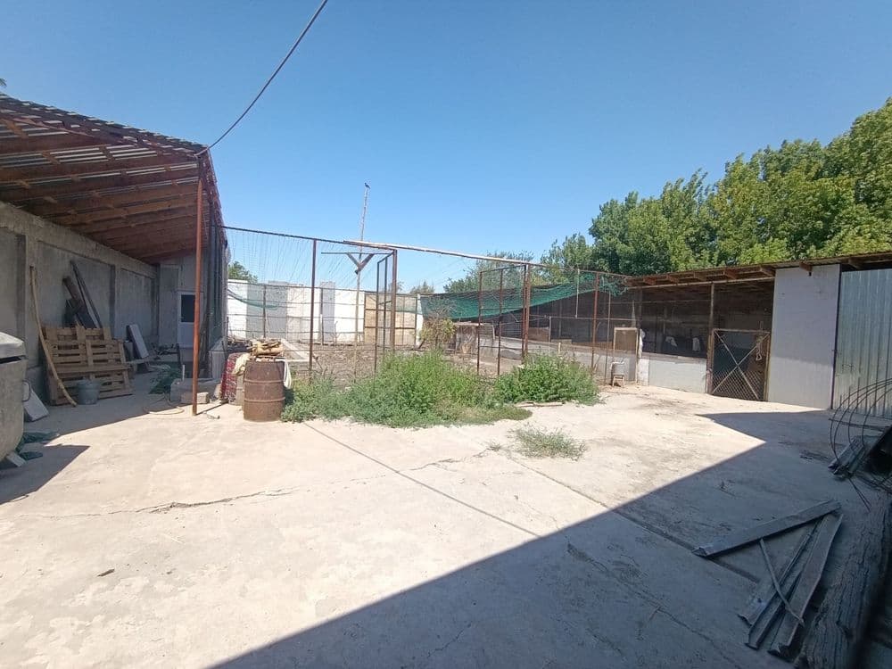 Здравствуйте срочно продаю участок — 3