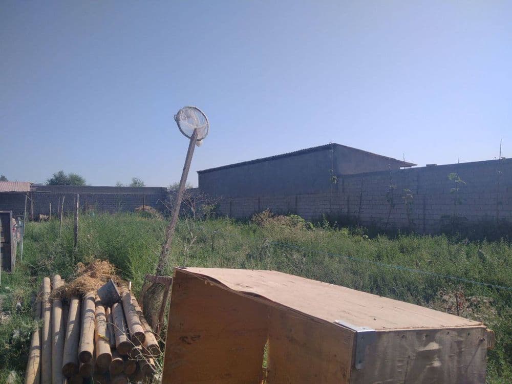 Nazarbeda 8 sotix yer sotlad — 4