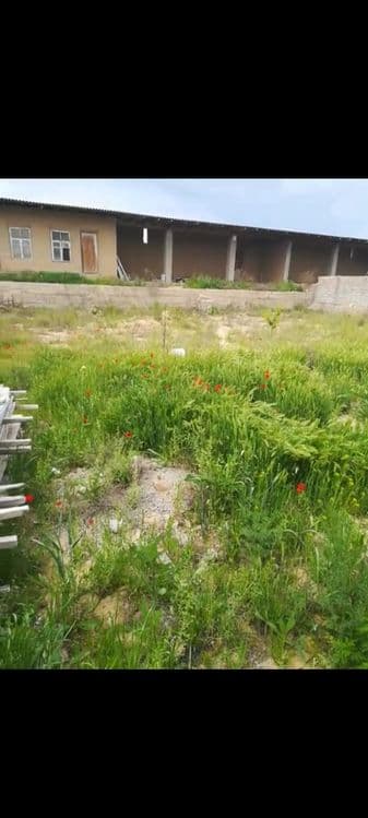 Продается участок(дача) 12 соток, разделён по 6 соток, кадастр есть — 1