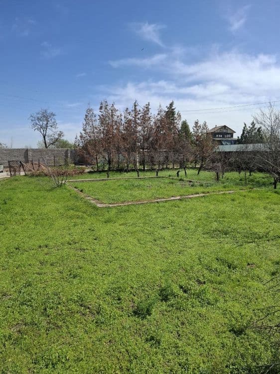 Земля 10 соток Нурафшан, Тойтепа, Ташморе, — 1