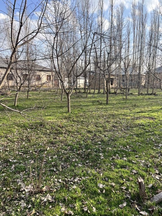 Yangi ozbekiston, yangi toshkent 12 sotok uchastka sotiladi — 3