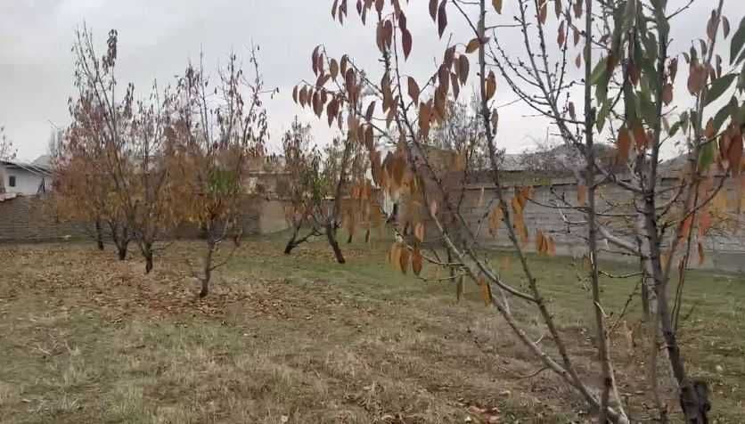 Срочно продается участок под застройку в Яшнабадском р-не (Тузель) — 3