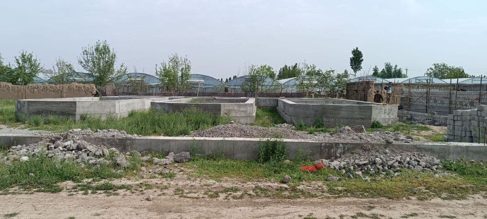 Narxi va sotixi ozgardi. Yangiyo’l tumani 5,8 sotix yer sotiladi. — 1