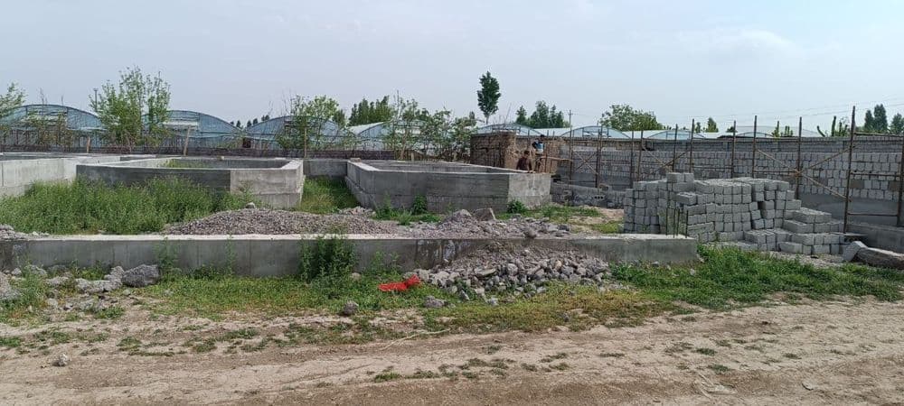 Narxi va sotixi ozgardi. Yangiyo’l tumani 5,8 sotix yer sotiladi. — 2