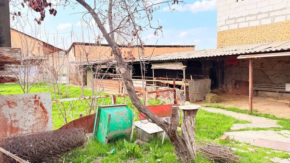 10 sotixli yer. Yangi Ozbekiston bogi — 1