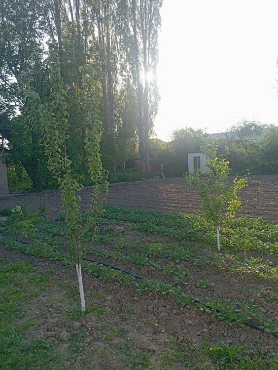 СРОЧНО 8 sotok yer uchastkasi sotiladi/Участок земли продается — 1