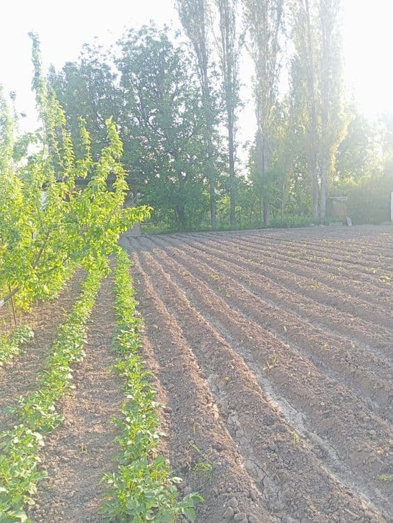 СРОЧНО 8 sotok yer uchastkasi sotiladi/Участок земли продается — 2