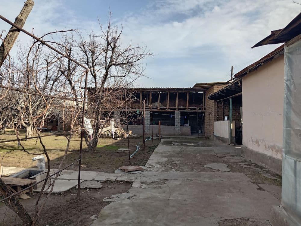 Qadirlik mahalasida — 2