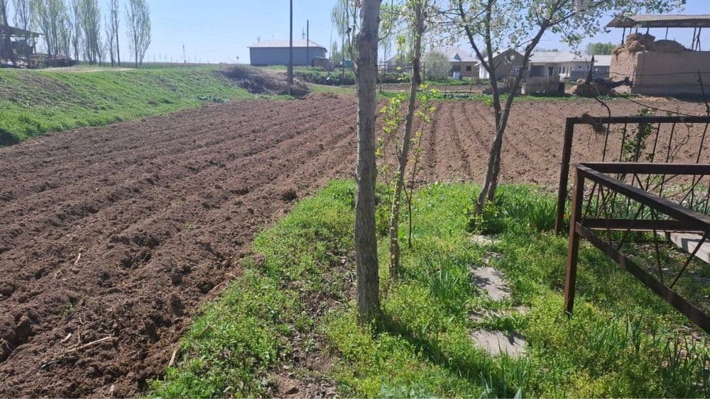 Прадется земля ташморе с 2 комнатным постройкой — 2
