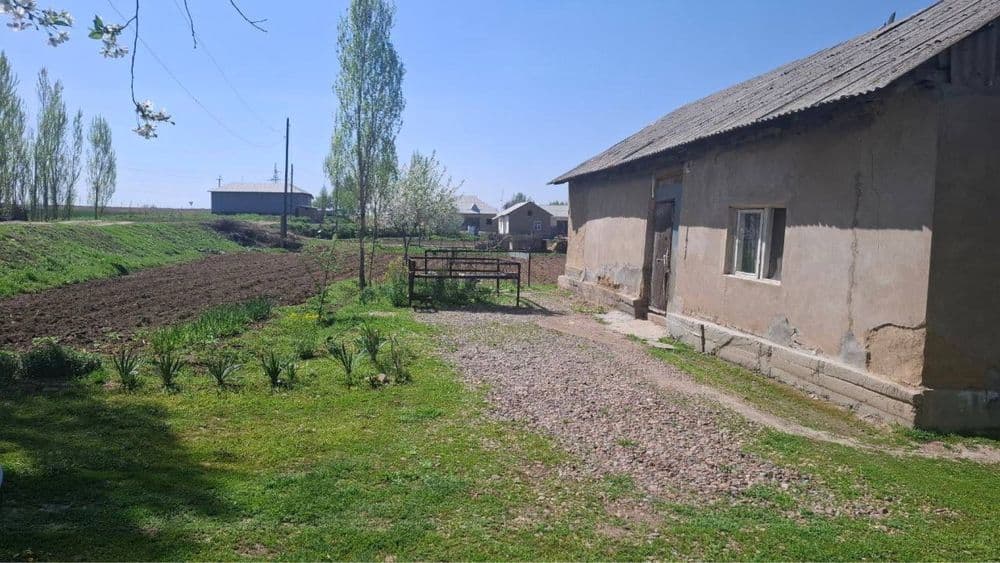 Прадется земля ташморе с 2 комнатным постройкой — 3
