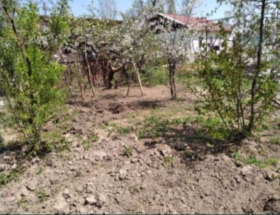 4 сотих курук ер сотилади.янгибазар.янгибозор.юкоричирчик — 2