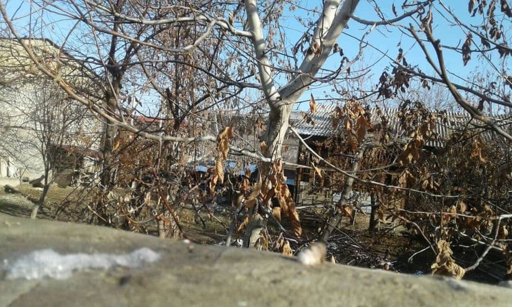 Продажа участка в махалле Ахунбабаев (Охунбобоев) — 1
