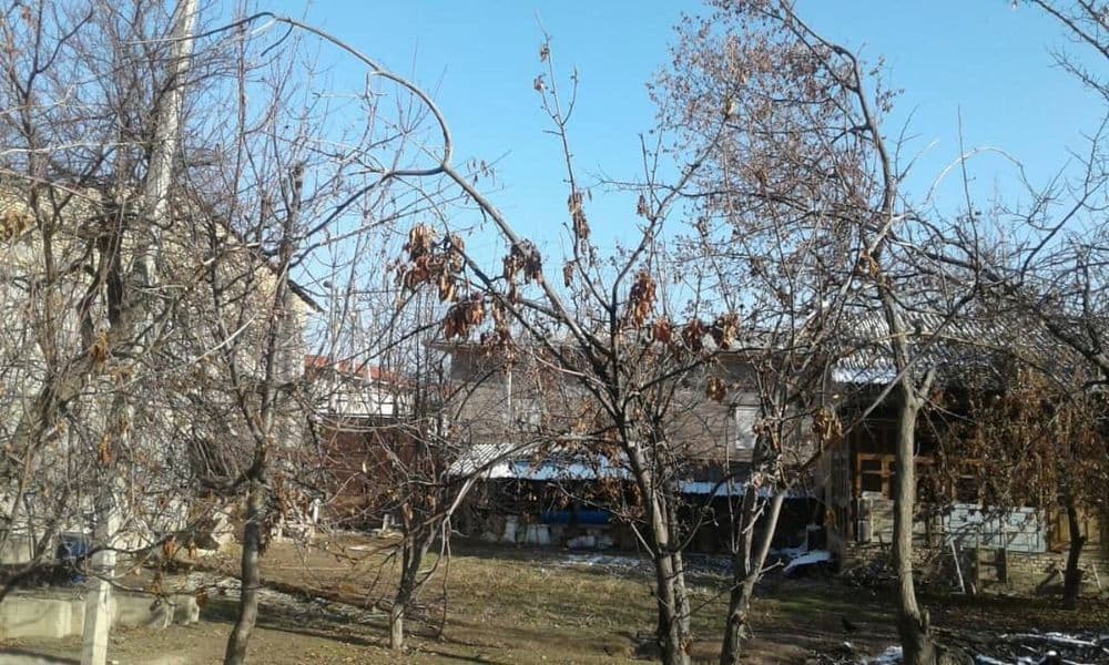 Продажа участка в махалле Ахунбабаев (Охунбобоев) — 5