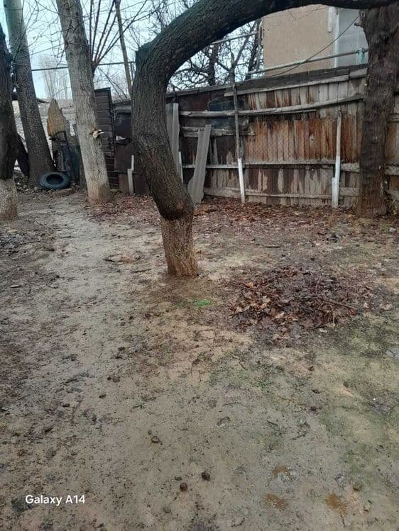 Участок в Ташкентской области — 2