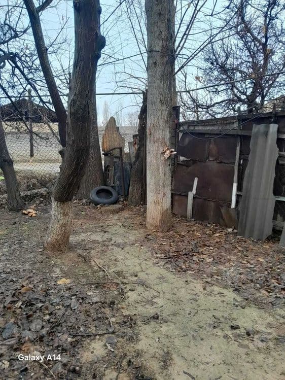 Участок в Ташкентской области — 4