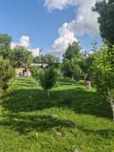 Ер учаска сотилади
