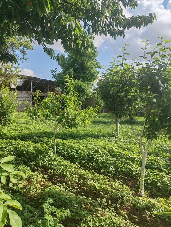 Ер учаска сотилади — 5