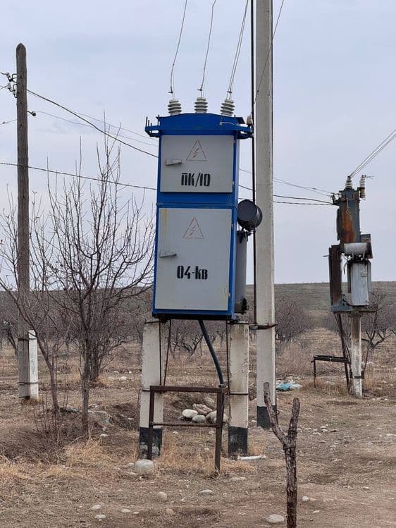 Продаются сады мендаля в Ферганской области — 2