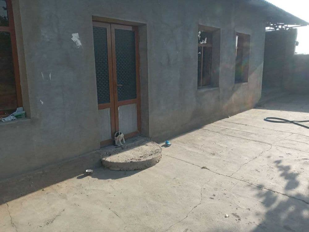 Toshkent viloyati Yangiyo‘l Lenizm mahallasida 8 sotixli yer sotiladi — 1