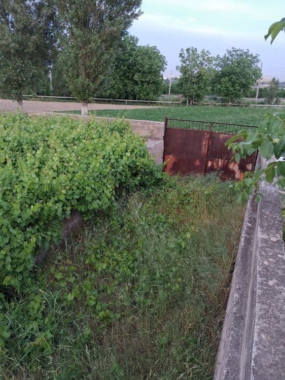 Nazarbekda yer 6 sotix — 1