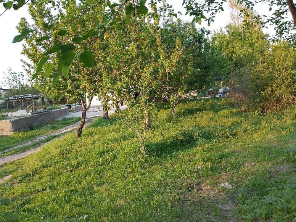 20sotix yer sotiladi — 3
