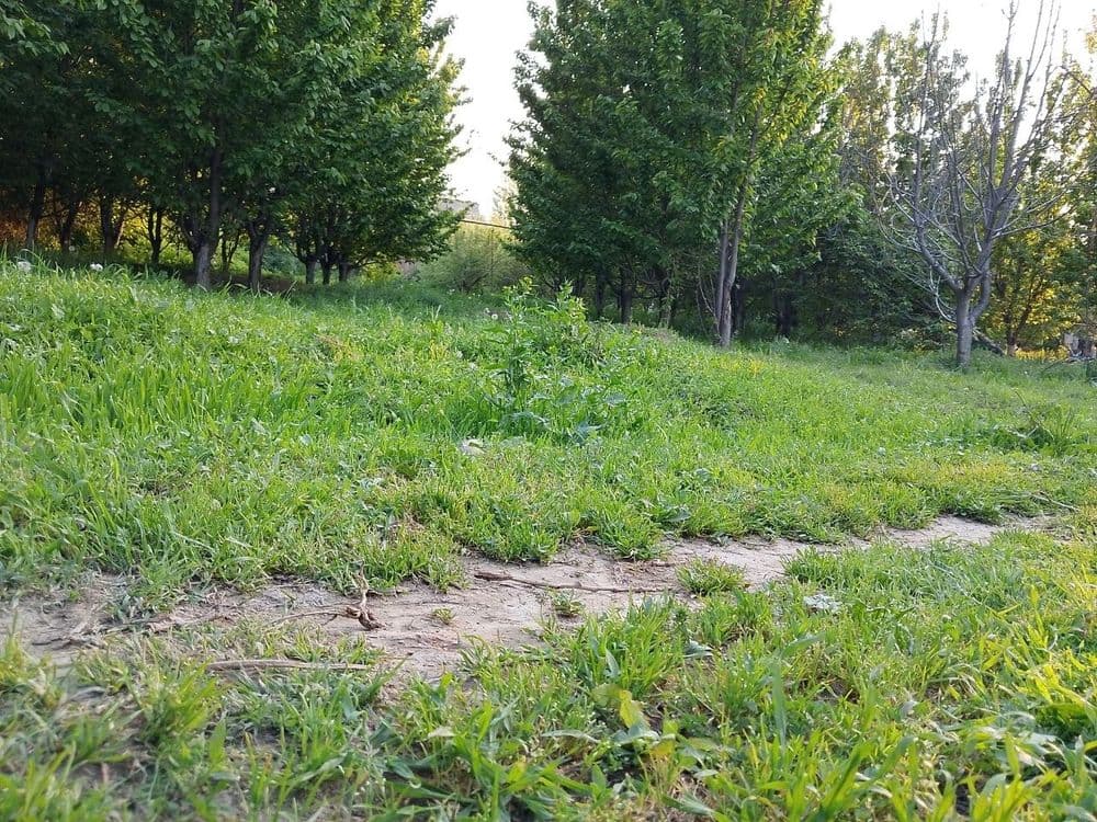 20sotix yer sotiladi — 4