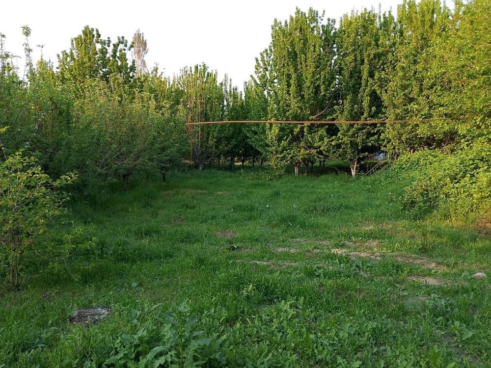 20sotix yer sotiladi — 5