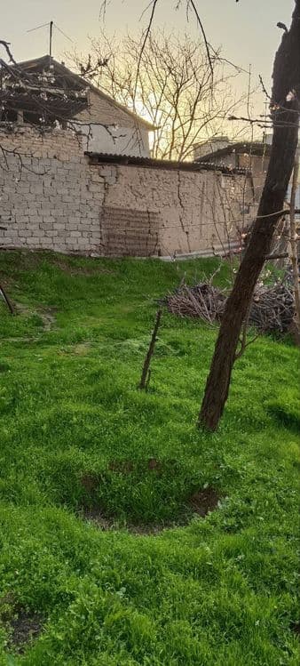 Shoshilinch!  1,8 sotx yer ulushi arzon sotiladi — 1