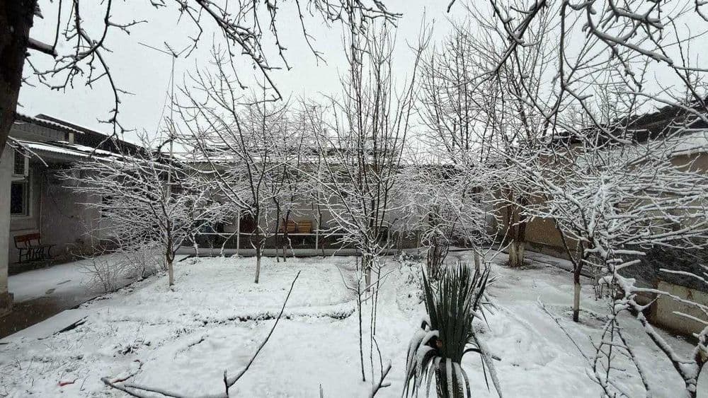 Samarqand Darvoza. 3.68 sotix uy kurishga yer sotaman. Fasad 16m*23m. — 5