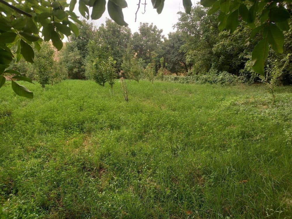 Участок 20 соток — 2