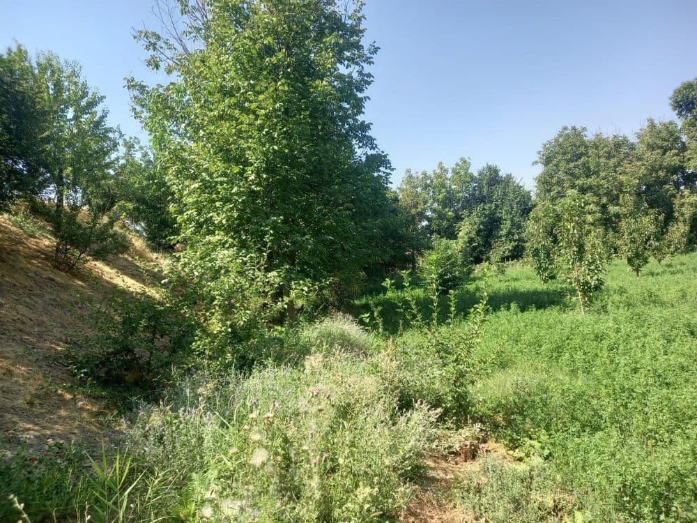 Участок 20 соток — 6